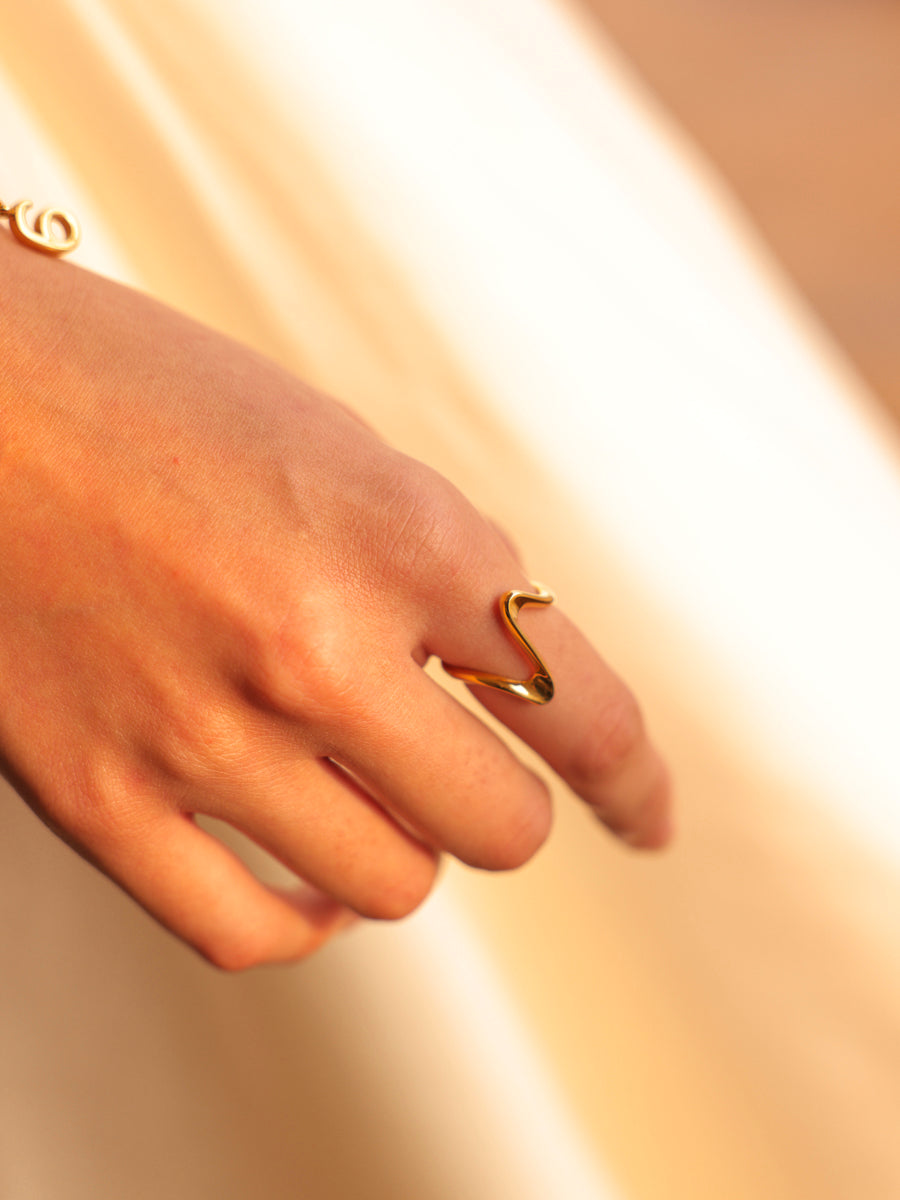 Anillo Espacial