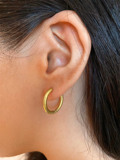 Aretes de Piel de Serpiente