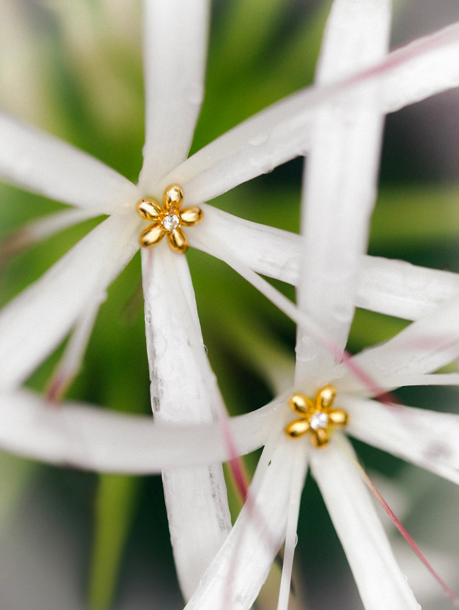 Pendientes de Flor Elegante