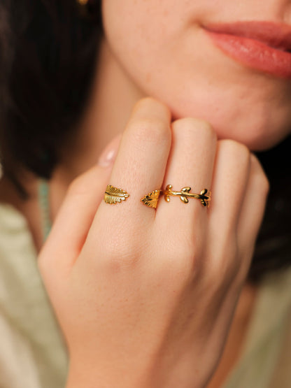Anillo Alas Naturales