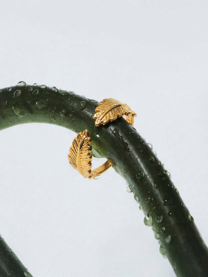 Anillo Alas Naturales