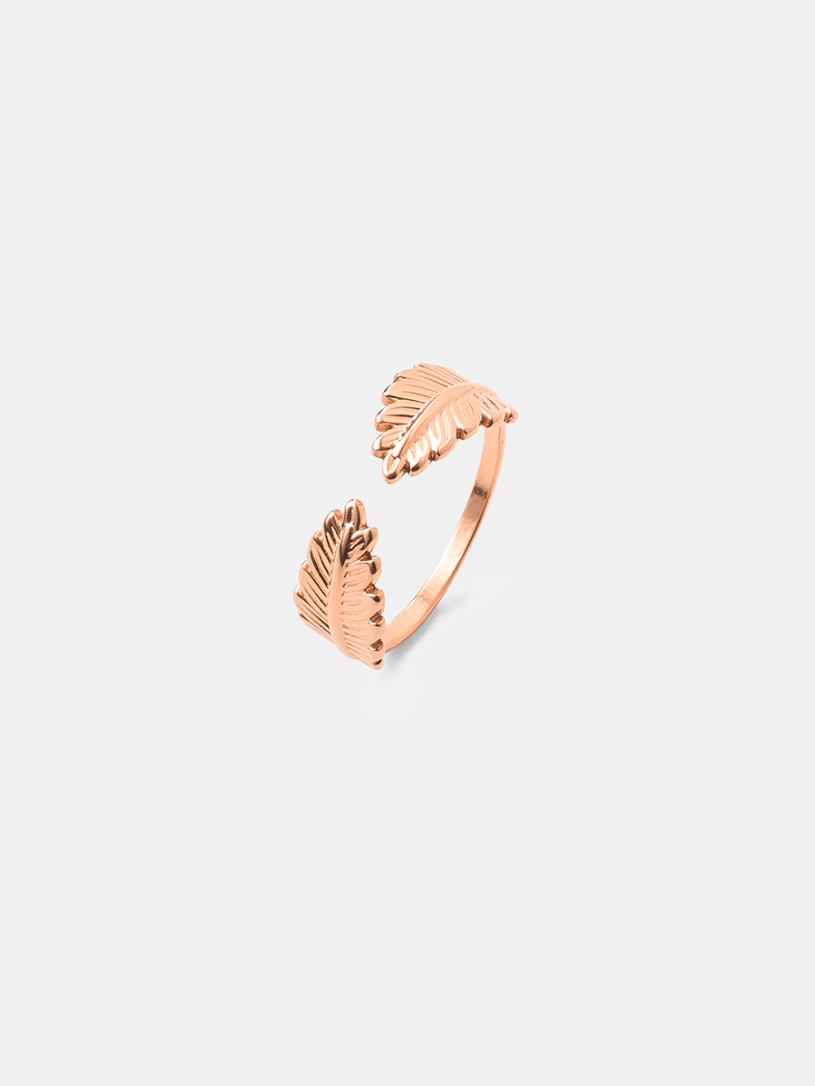 Anillo Alas Naturales