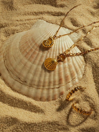 Collar de Conchas del Mar