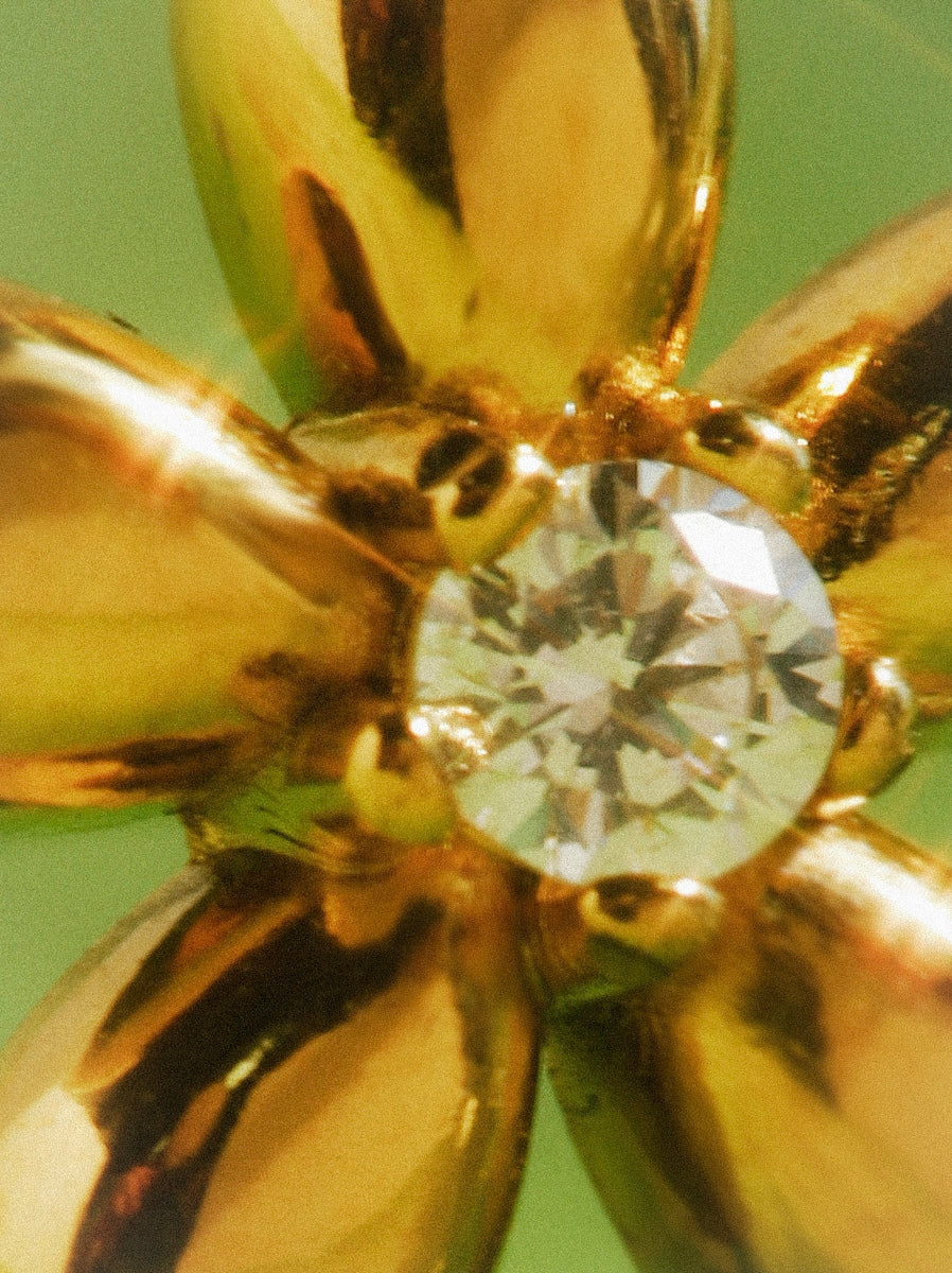 Pendientes de Flor Elegante
