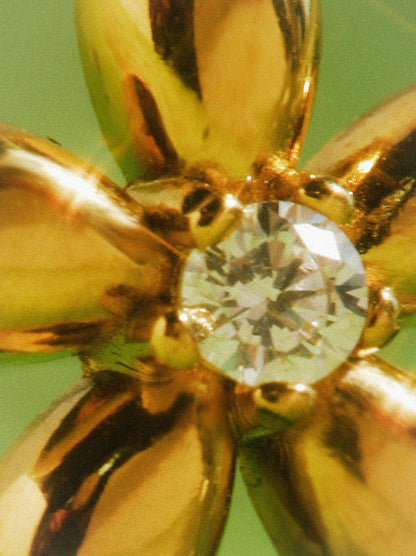 Pendientes de Flor Elegante